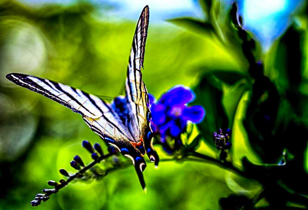 Фотография автора Turgay Uykusuz