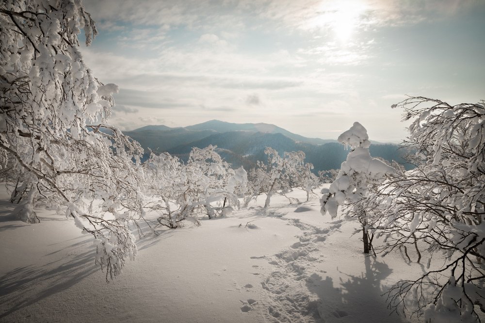 Фотография автора Дмитрий Эбингер