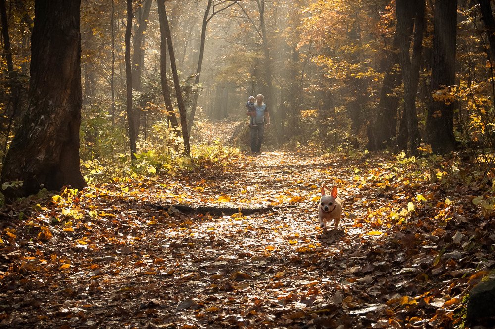 Photograph by Лариса Крышталь