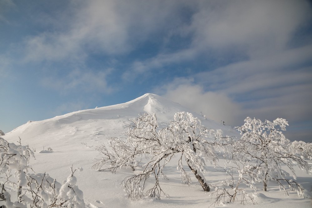Фотография автора Дмитрий Эбингер