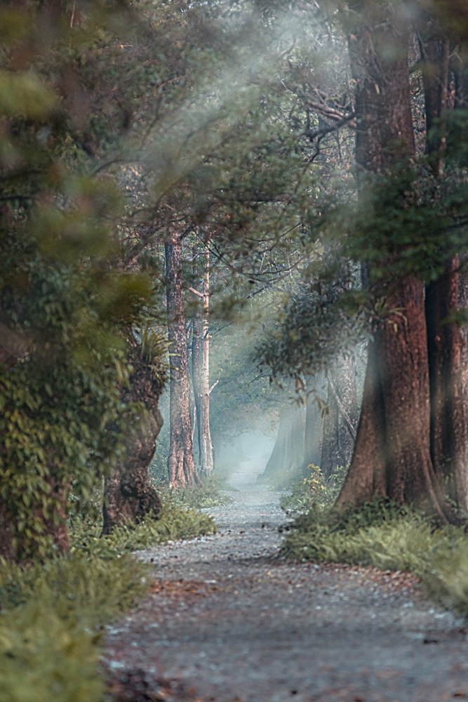 Фотография автора Sudipta Chakraborty