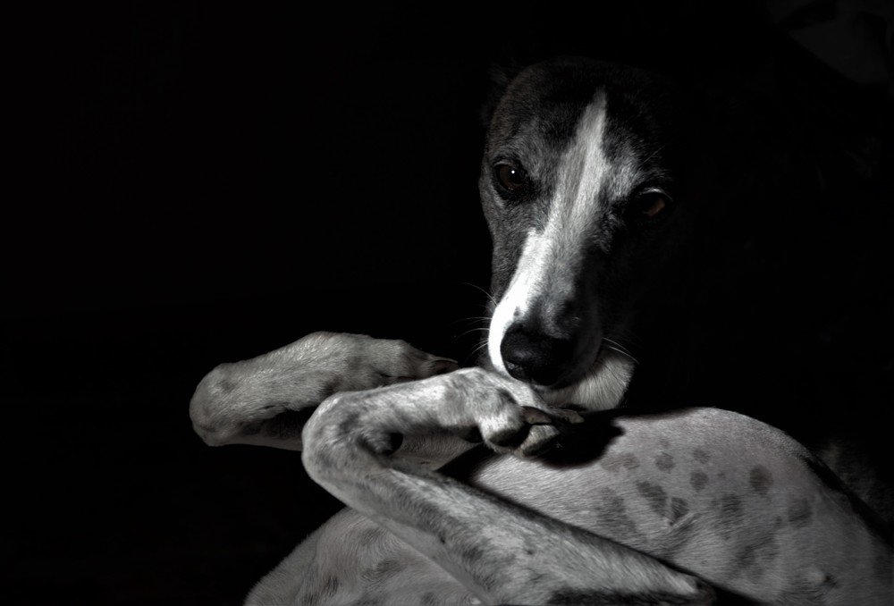 Photograph by Ann Stodolskaya