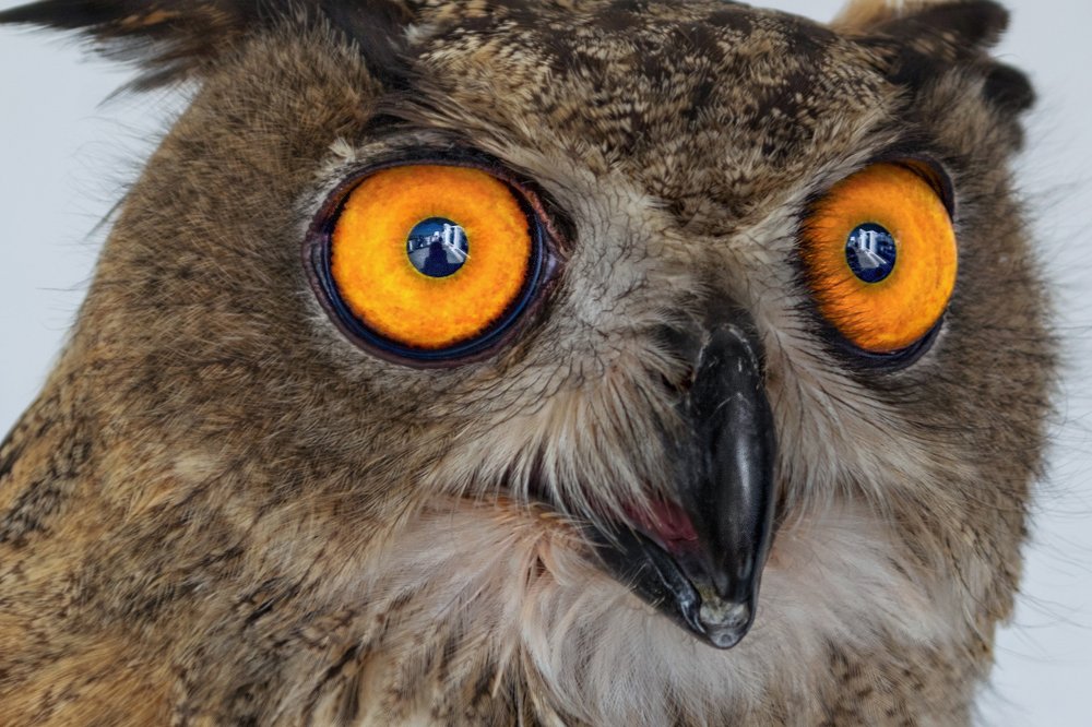 Photograph by Марина Ческис