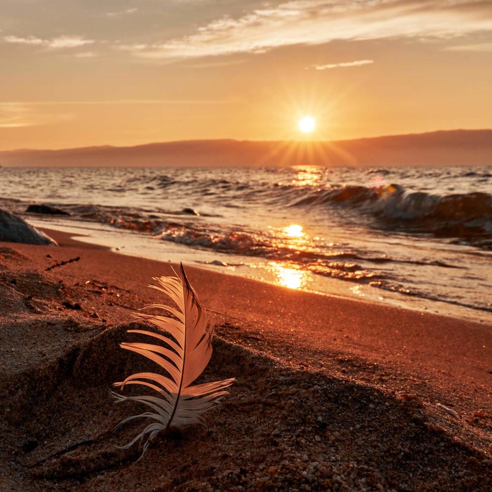 Фотография автора Сергей Низовцев