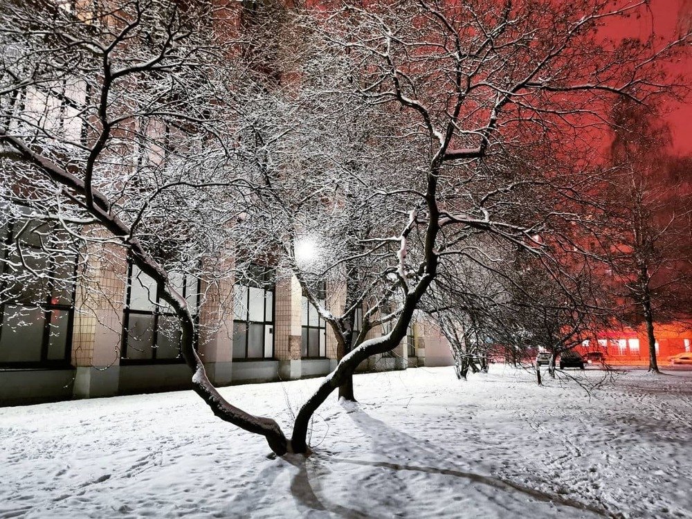 Photograph by Kristina Frizyuk