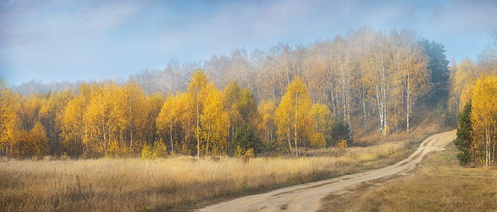 Photograph by Владимир Прошин