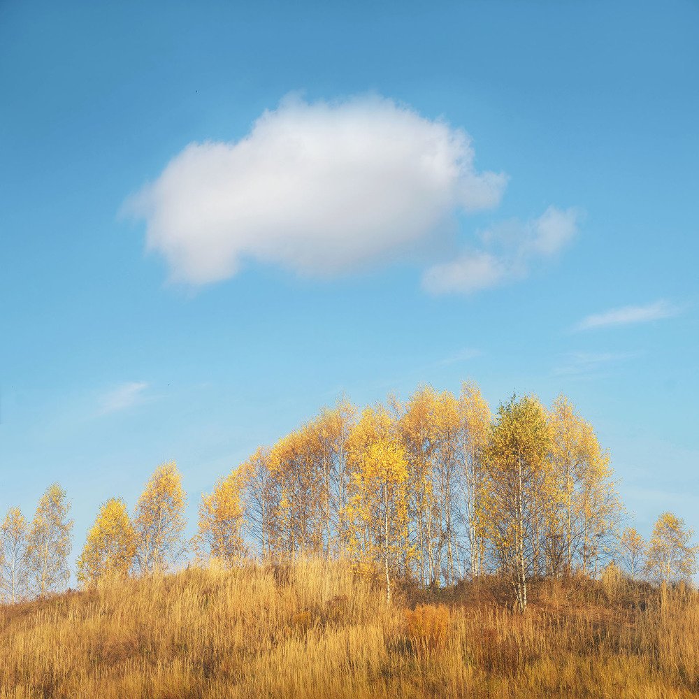 Photograph by Владимир Прошин