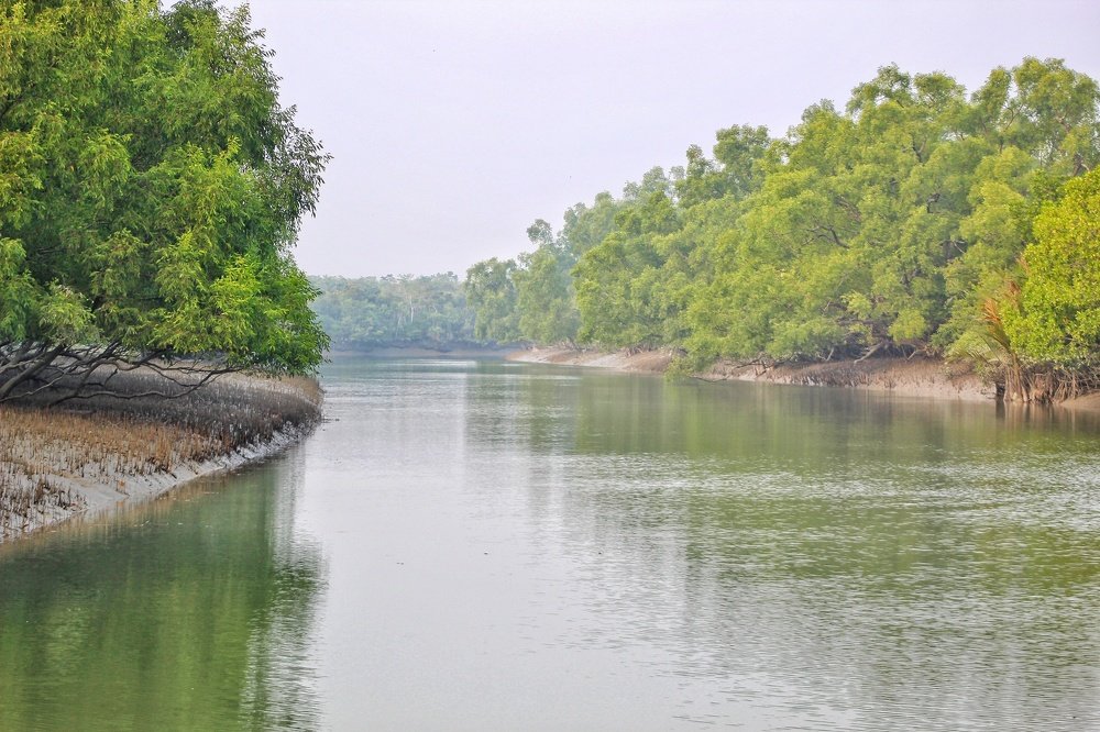 Sundarbans