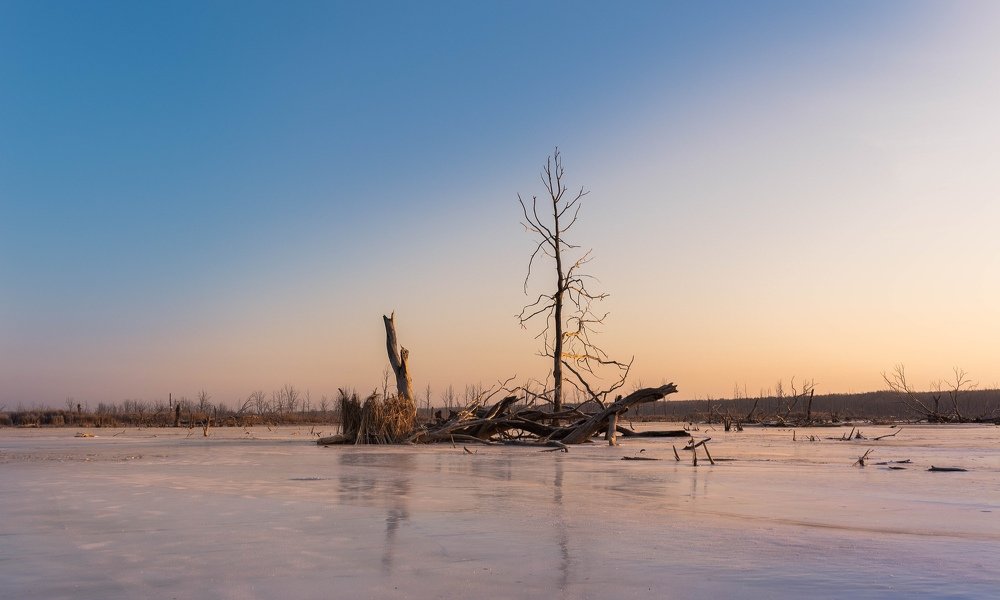 Фотография автора Евгений Подгорнов