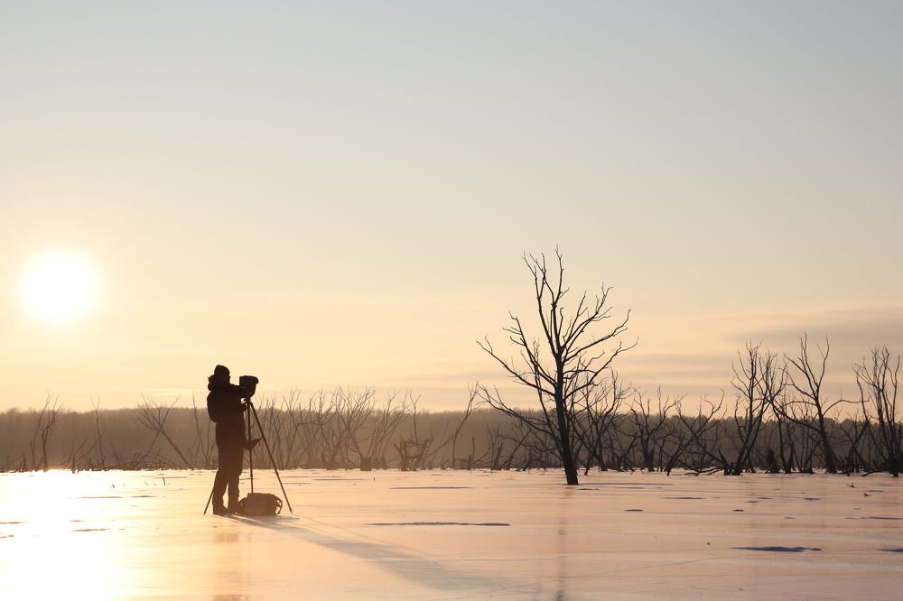 Фотография автора Евгений Подгорнов