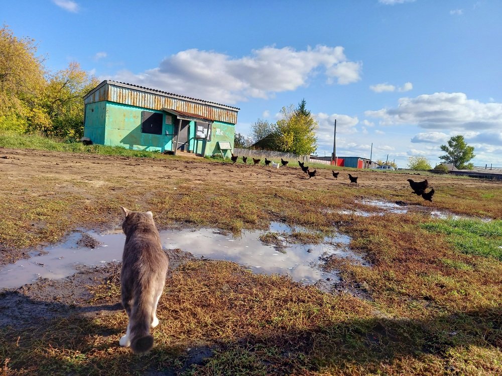 Photograph by Юлия Гудкова