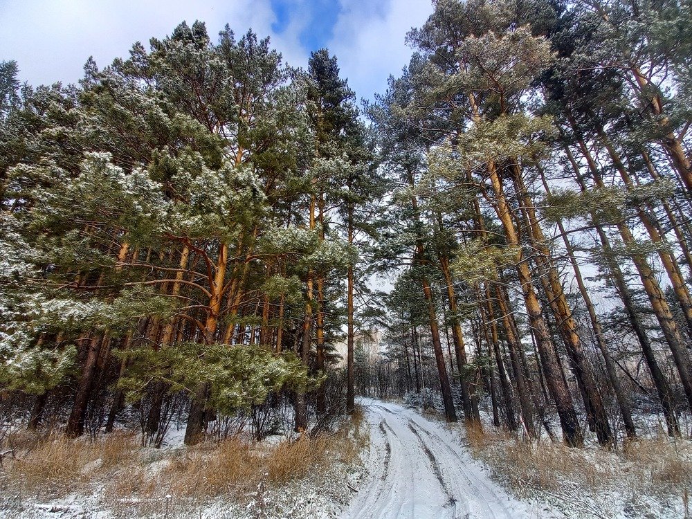 Photograph by Юлия Гудкова