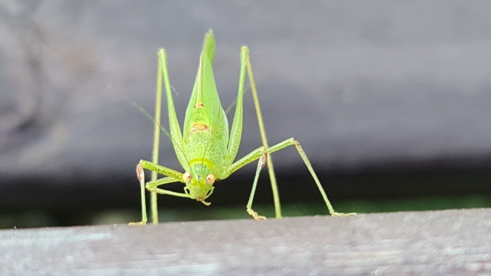 Photograph by Алексей Миронов