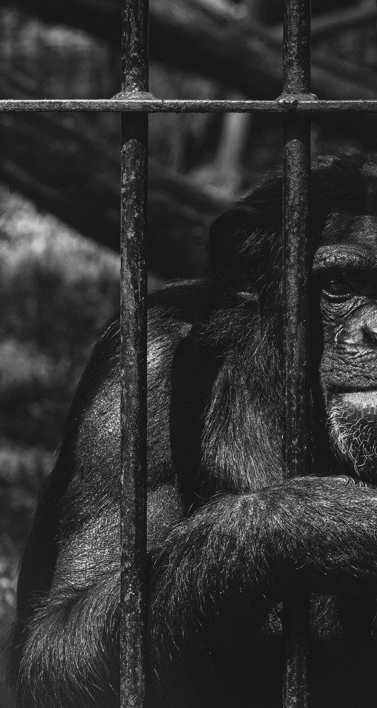 Photograph by Артем Машевский