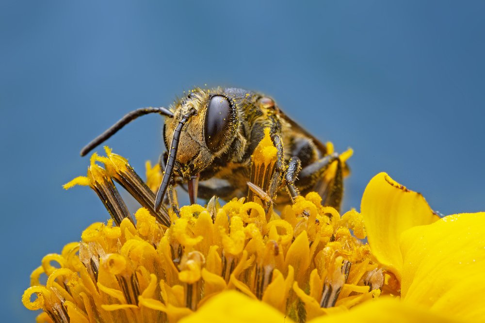 Photograph by Иван Радьков