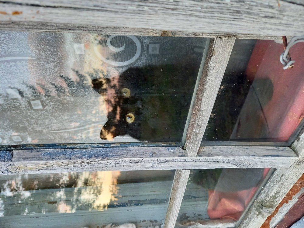 Photograph by Юлия Гудкова