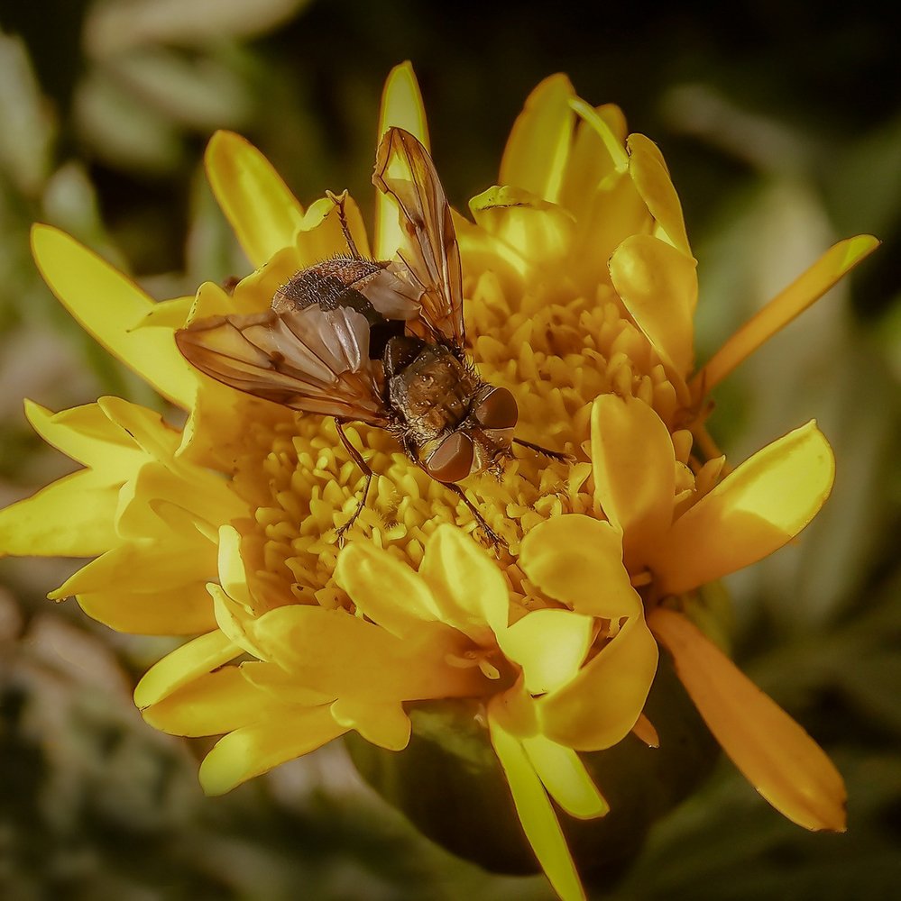 Photograph by Диана Кошелева