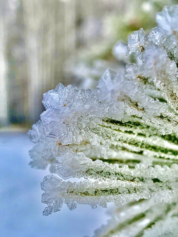 Photograph by Anastasia Malysh