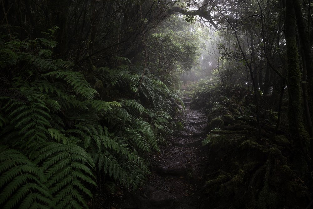 Photograph by Photography Nusan