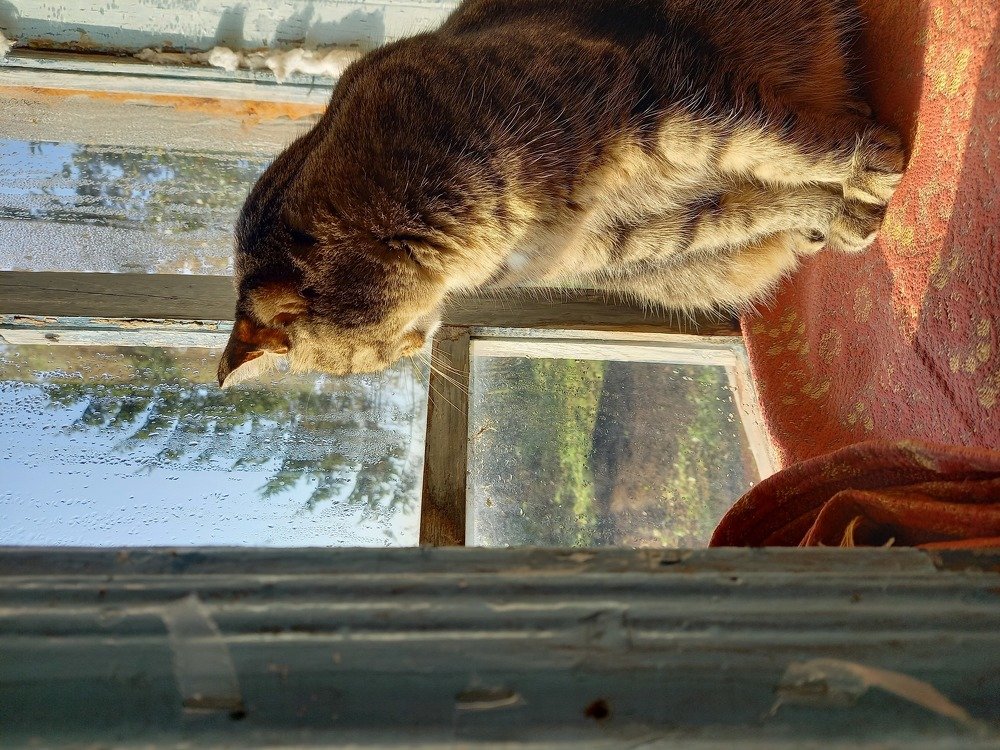 Photograph by Юлия Гудкова