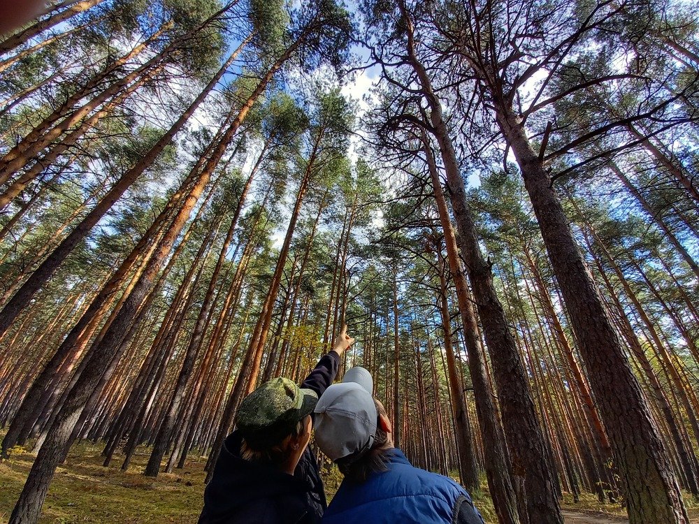Photograph by Юлия Гудкова