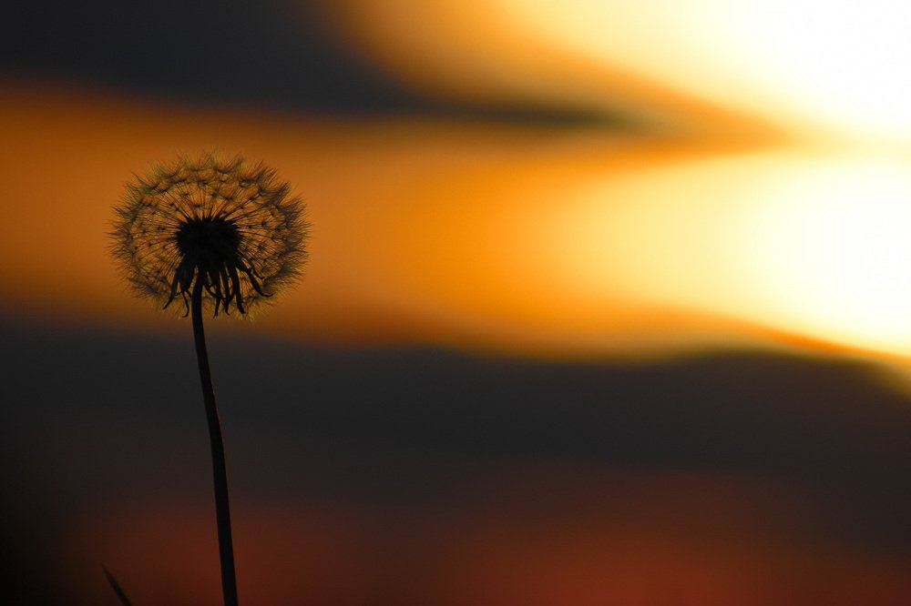 Photograph by Gargee Chowdhury