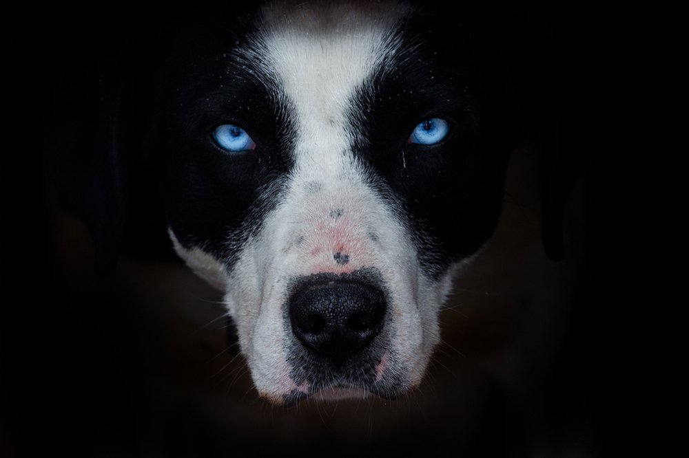 Photograph by Игорь Антипов