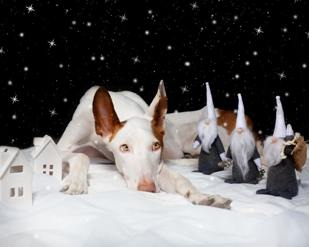 Photograph by Старикова Светлана