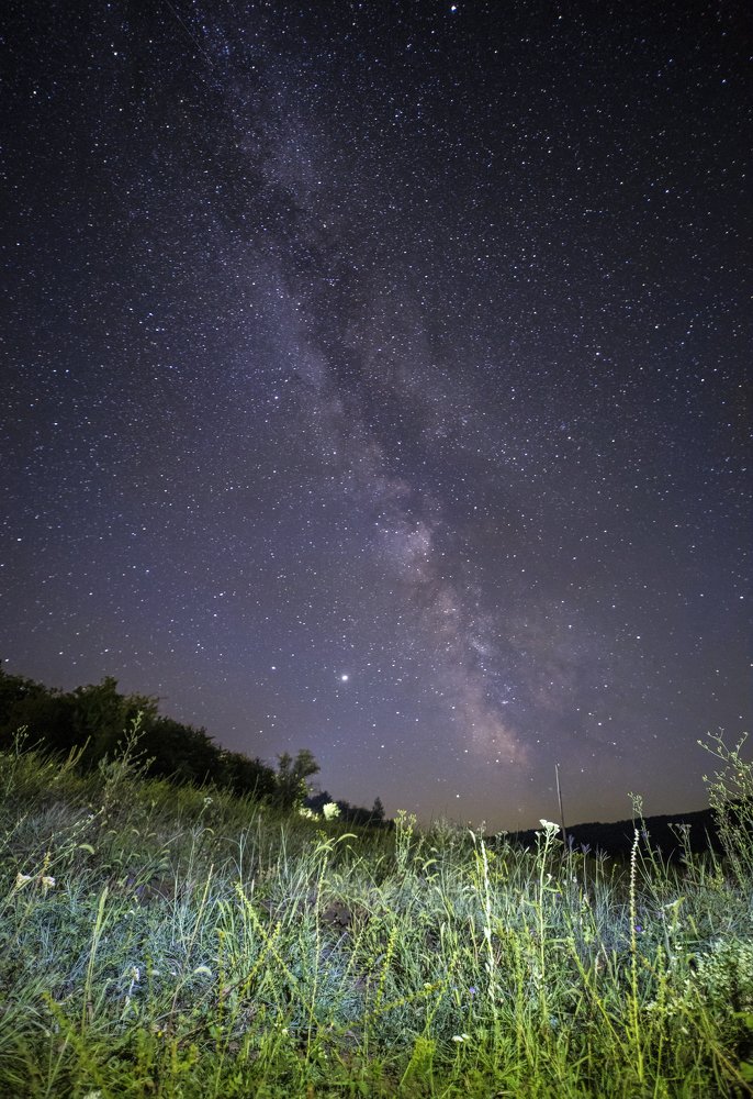 Photograph by Tatiana Kravchuk