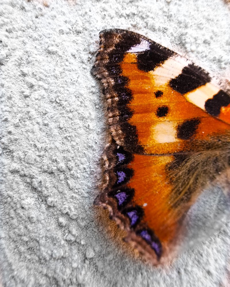 Photograph by Наталья Асоскова