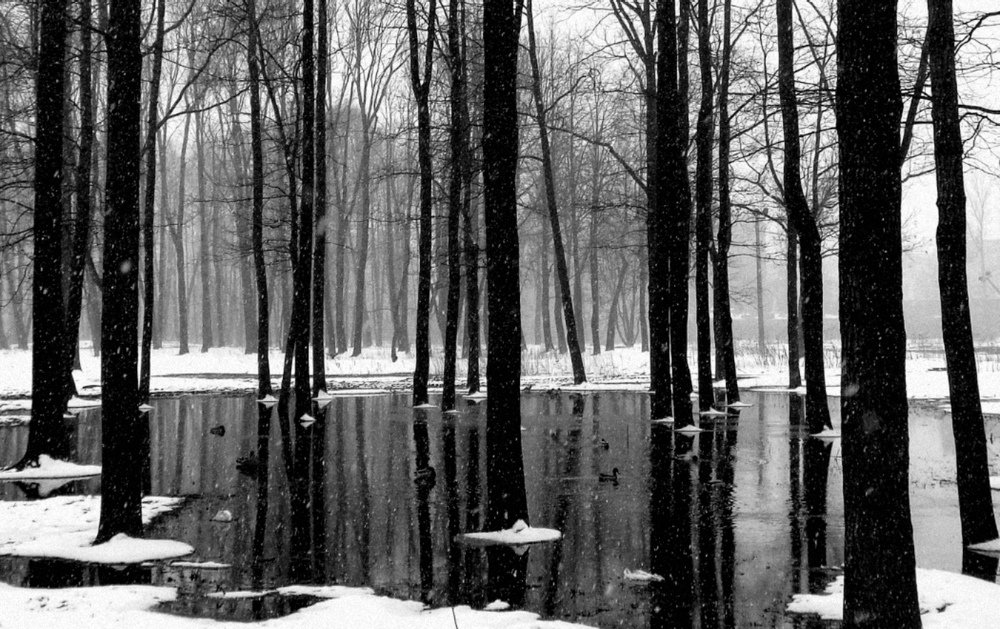 Мокрый декабрь...