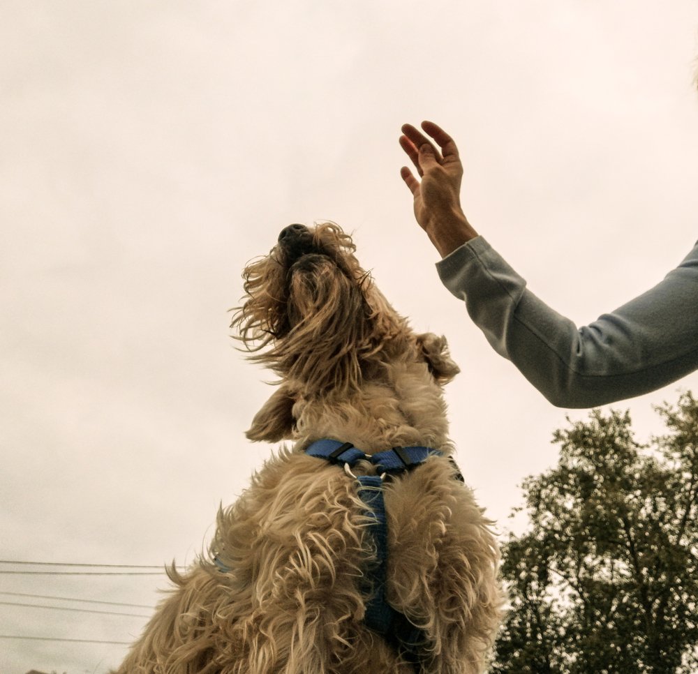 Photograph by Марина