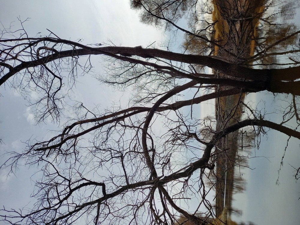 Photograph by Юлия Гудкова