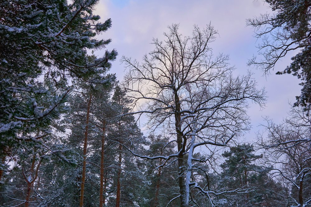 Photograph by Игорь