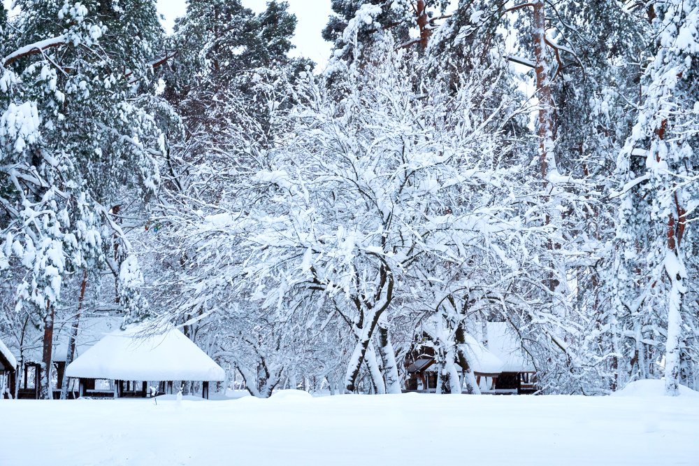 Photograph by Игорь