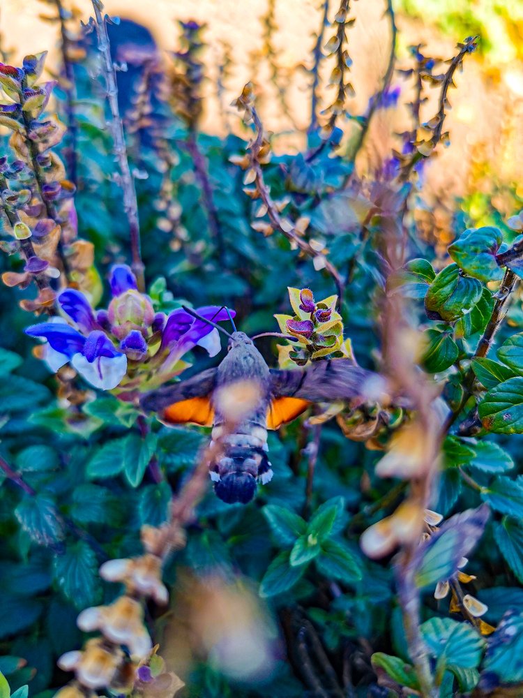 Photograph by Наталья Асоскова