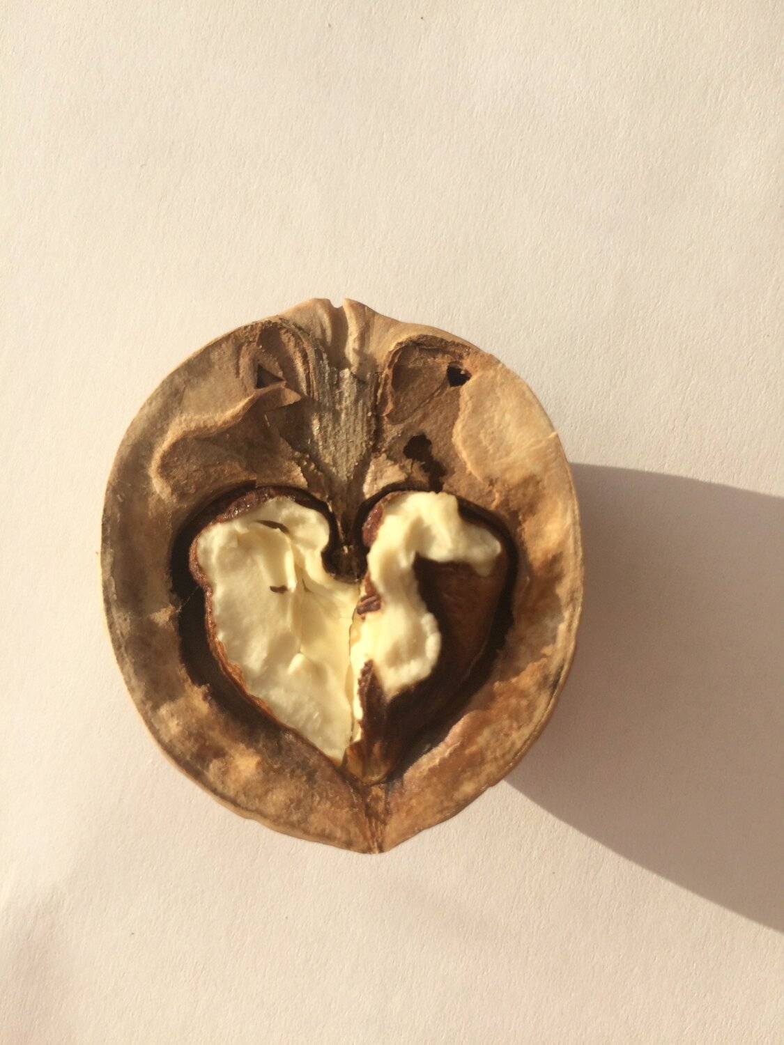 Walnuts