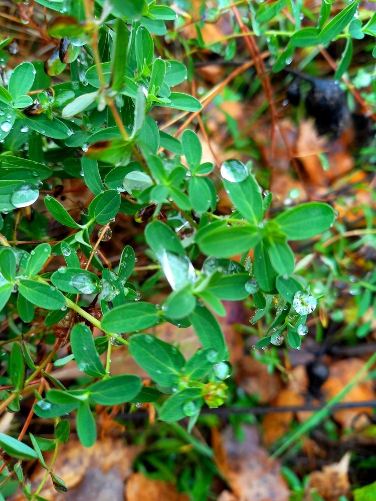 Photograph by Юлия Гудкова