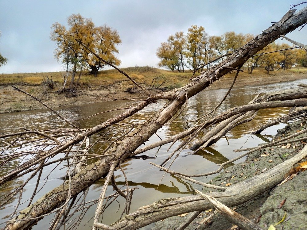 Photograph by Юлия Гудкова