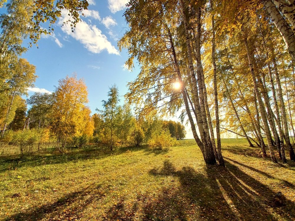 Photograph by Юлия Гудкова