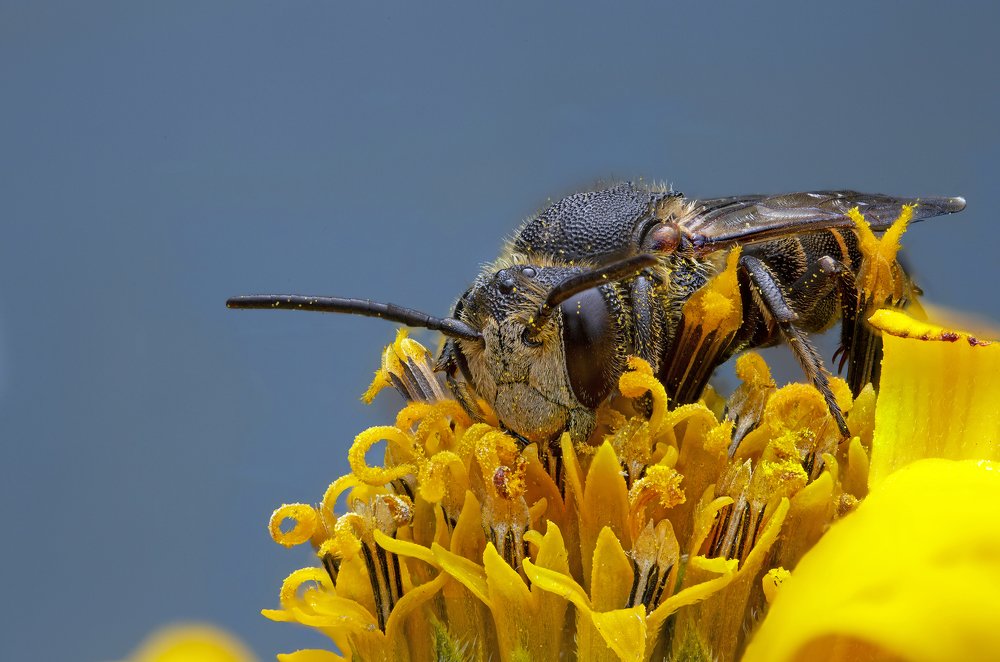 Photograph by Иван Радьков