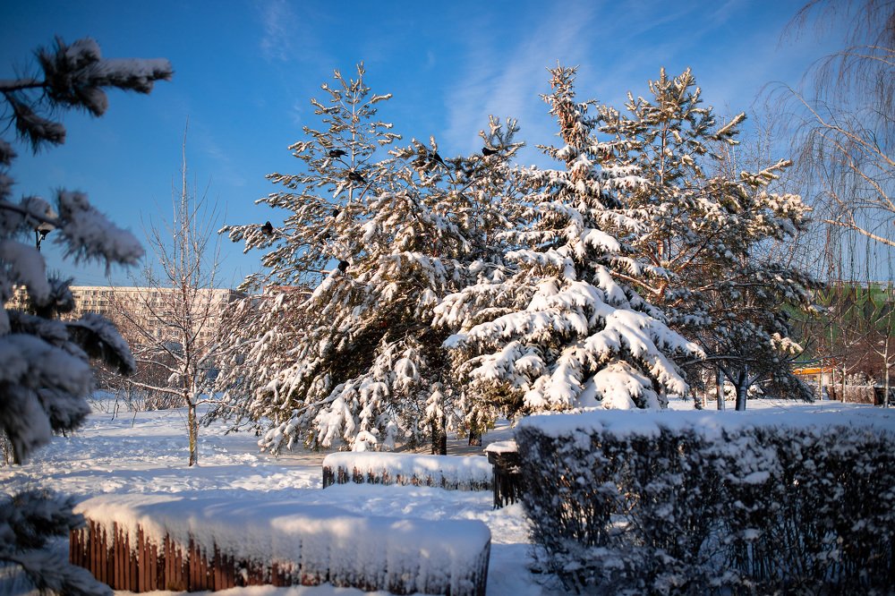 Photograph by Елена Клементенок