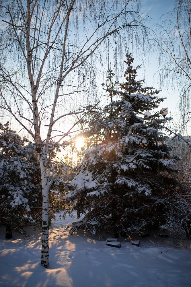 Photograph by Елена Клементенок