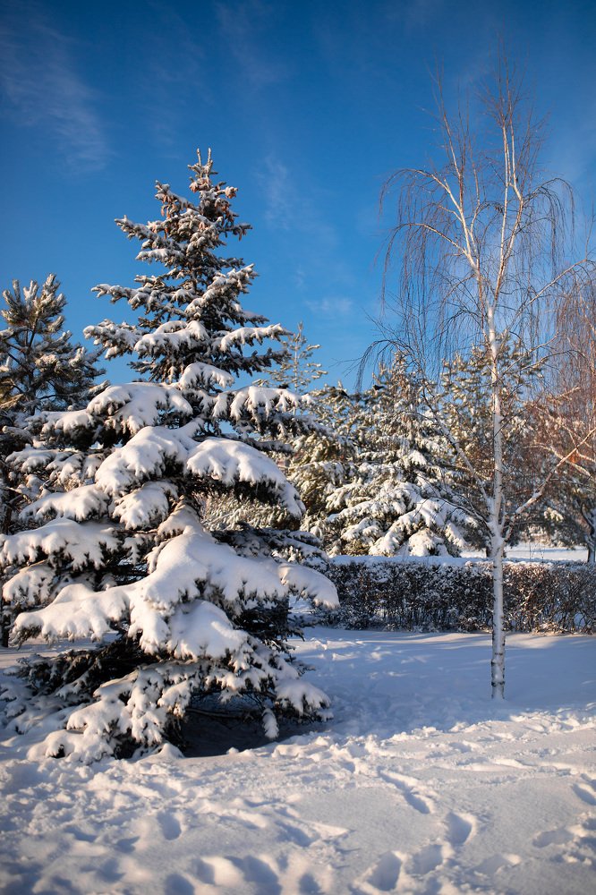 Photograph by Елена Клементенок