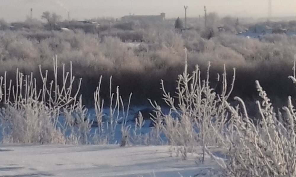 Photograph by Лида