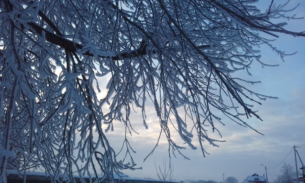 Photograph by Лида