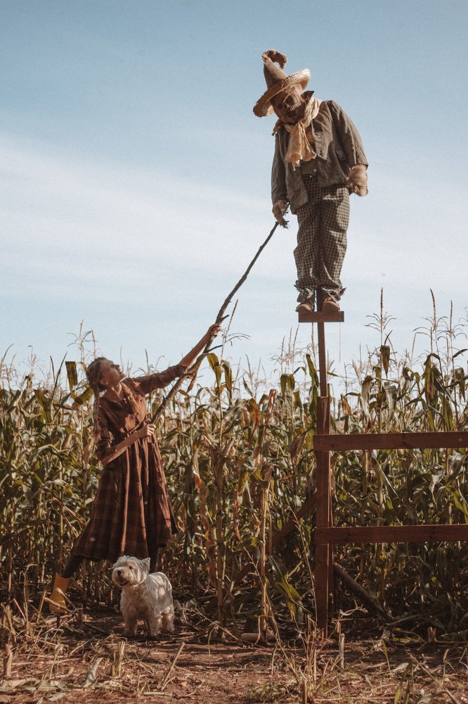 Возвращение в страну Оз