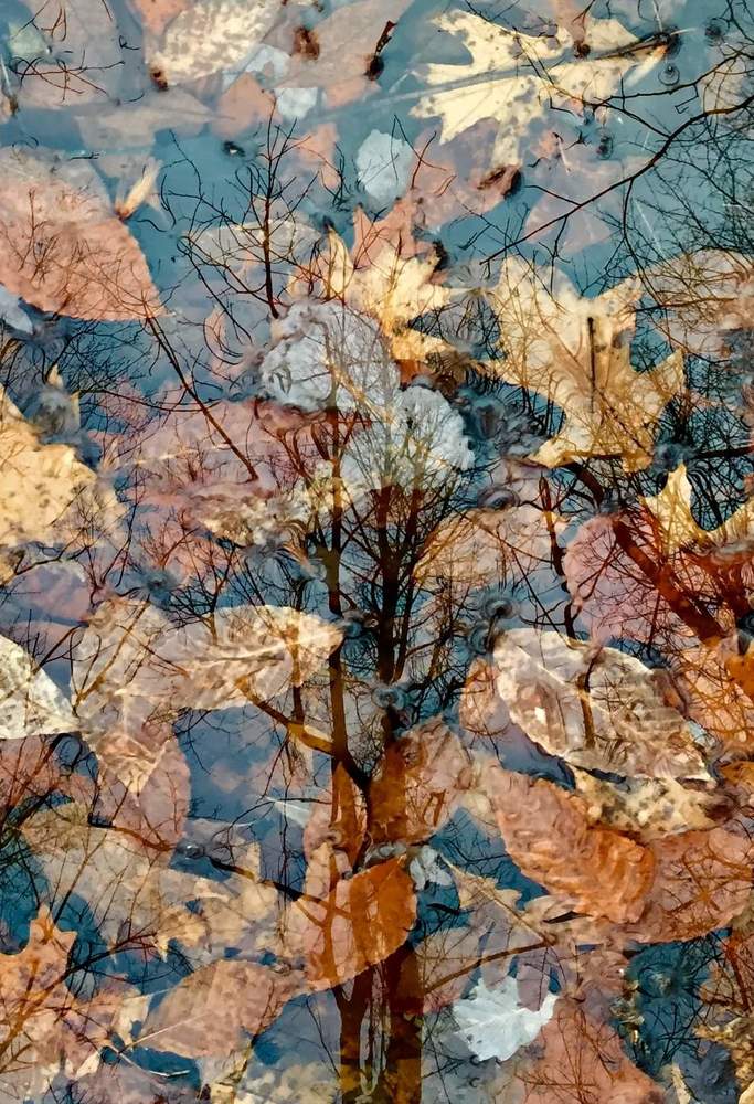 Photograph by Lyudmila Gruzdeva