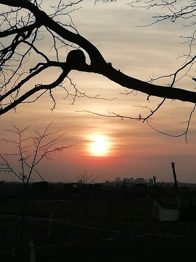 Photo #5403554