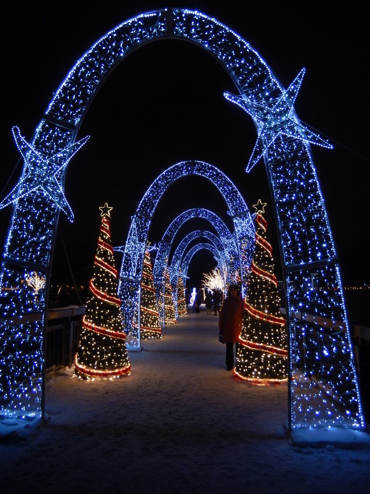 Фотография автора Клавдия Васильева